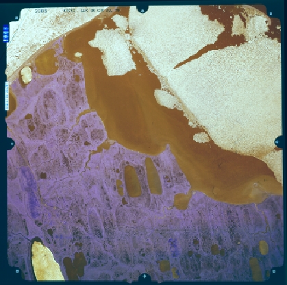 Color Infrared Aerial Photograph of the Barrow Area, AK, USA